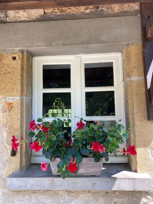 Vakantiehuis La Poire, Op Landgoed Aan De Dordogne Prudhomat المظهر الخارجي الصورة